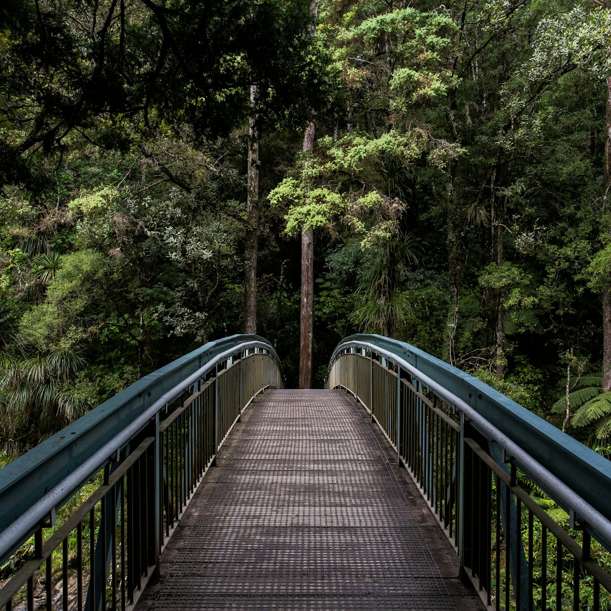 unsplash-09.jpg